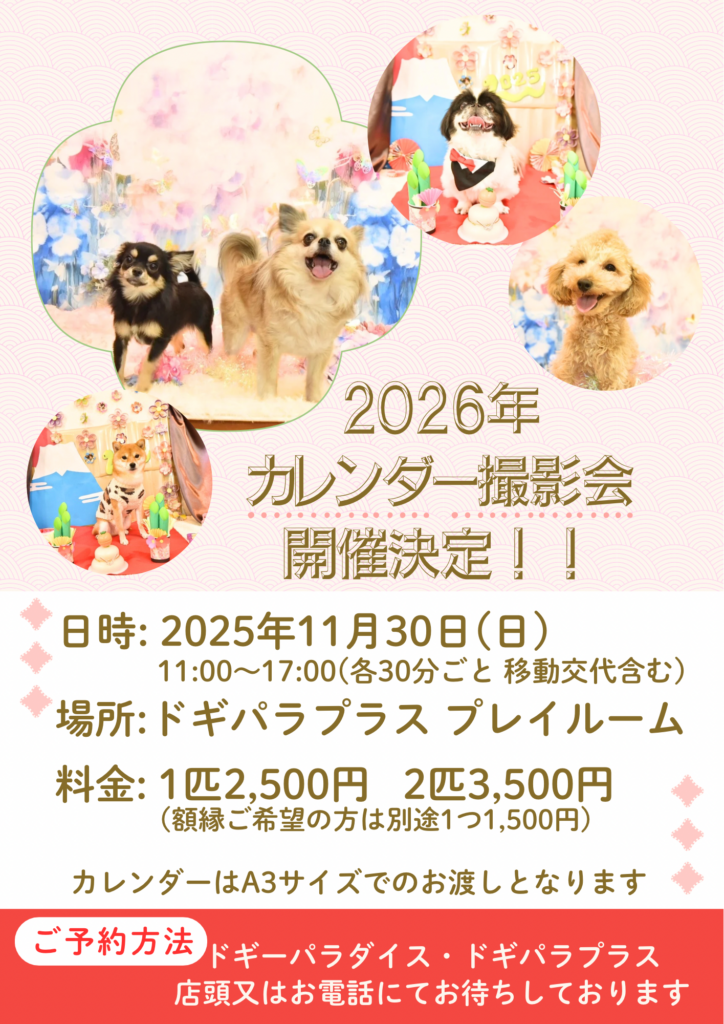 カレンダー撮影会開催決定!!🎉